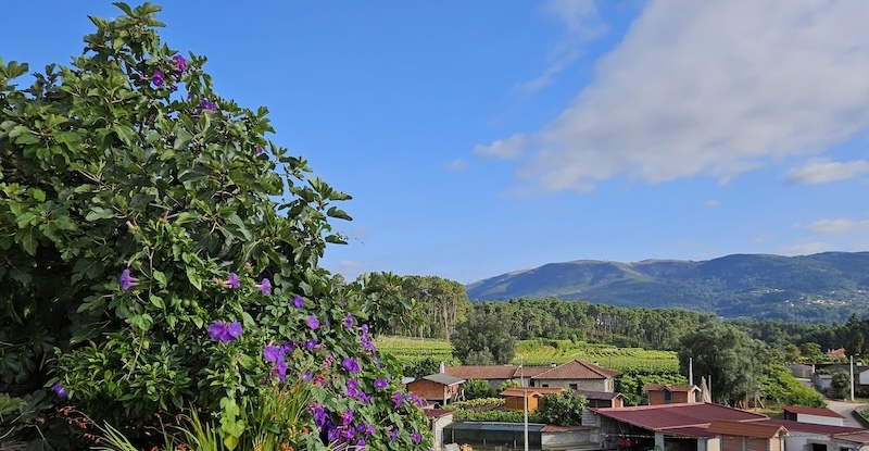Visiter le Nord du Portugal en&nbsp;été