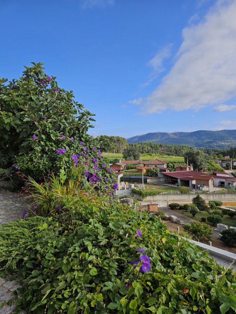 Vue depuis les gîtes